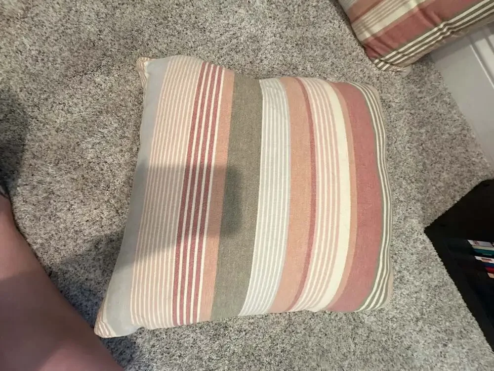 Beige/Light Red Striped Cushion Cover